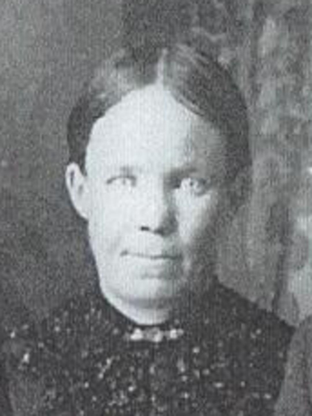 Emily James (1858 - 1936) Profile